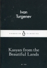 Kasyan from the Beautiful Lands Turgenev Ivan