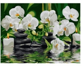 Malowanie po numerach - Białe kwiaty na wodzie