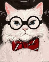 Malowanie po numerach Kot w okularach (40 x 50 cm)