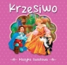 Krzesiwo Klasyka światowa Hans Christian Andersen