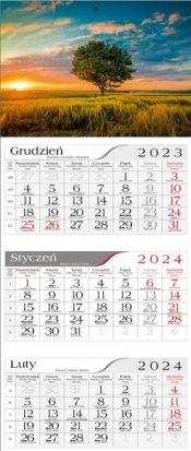 Kalendarz 2024 Trójdzielny Polne drzewo