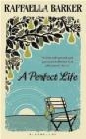 A Perfect Life - Raffaella Barker