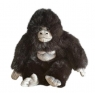  Goryl 20cm