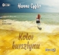 Kolor bursztynu - Hanna Cygler