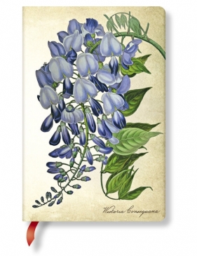 Notatnik Blooming Wisteria mini linia