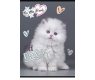 Paczka Zeszyt A5 16k 3-linia kolorowa my little friend mix pakiet 15 szt.