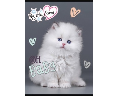 <img src='https://webimage.pl/pics/719/0/d5903031310719.jpg'>