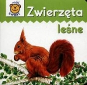 Zwierzęta leśne - <br />