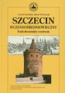 Szczecin wczesnośredniowieczny