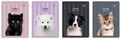 Zeszyt A5/32k kolorowa trzylinia UV - Puppy Sign, 1 szt.
