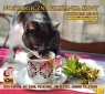  Nostalgiczna filiżanka kawy Vol.9 CD