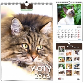 Kalendarz 2022 7 Plansz B3 - Koty