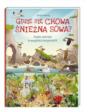 Gdzie się chowa śnieżna sowa? (Uszkodzona okładka) - Anna Claybourne, Brendan Kearney, Joanna Wajs