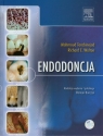 Endodoncja z płytą DVD  Torabinejad Mahmoud, Walton Richard E.