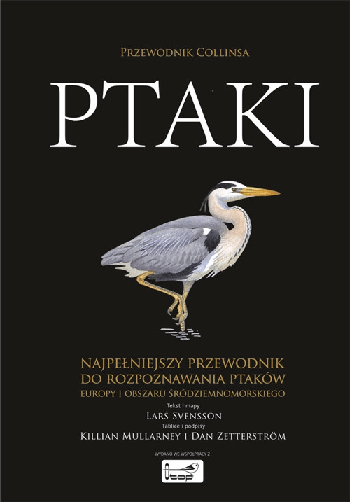 Ptaki