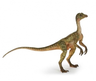 Compsognathus