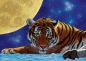 Artpuzzle, Puzzle 500: Tygrys i księżyc (5072)