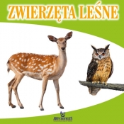 Zwierzęta leśne - Małgorzata Szewczyk