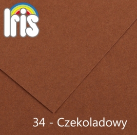 Karton kolorowy Canson (200040176) - Fila Polska