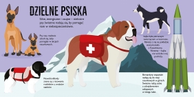 Psy. Pop-up 10 - Dawid Hawcock