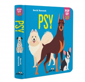 Psy. Pop-up 10 - Dawid Hawcock