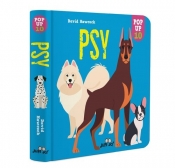 Psy POP-UP 10