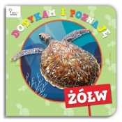 Dotykam i Poznaję. Żółw - Opracowanie zbiorowe