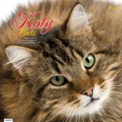 Kalendarz 2023 albumowy Koty KAD9