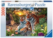 Ravensburger, Puzzle 3000: Ukryty tygrys (170722)