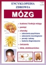 Mózg