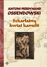 Szkarłatny kwiat kamelii BR w.2022 Antoni Ferdynand Ossendowski