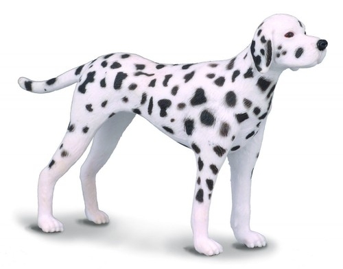 Pies dalmatyńczyk M (88072)