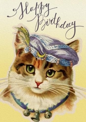 Karnet B6 z kopertą Urodziny Kotka wróżka