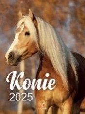 Kalendarz 2025 wieloplanszowy B4 Konie