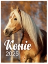 Kalendarz 2025 wieloplanszowy B4 Konie