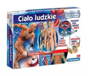Ciało ludzkie (60772) - <br />