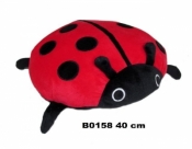Biedronka 40cm