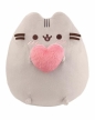 Pusheen z sercem