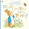 What Can You See Peter? Beatrix Potter