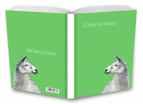 Notes 64 kartkowy w kratkę Gee Lama