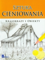 Sztuka cieniowania Krajobrazy i obiekty