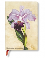 Notatnik Brazilian Orchid Mini linia