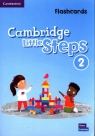  Cambridge Little Steps 2. Flashcards