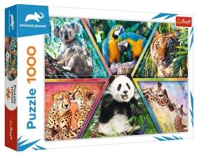 Trefl, Puzzle 1000: Animal Planet - Królestwo zwierząt (10672)