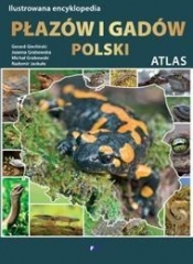 Ilustrowana encyklopedia płazów i gadów Polski (Uszkodzona okładka)