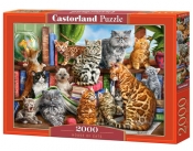 Puzzle 2000: House of Cats