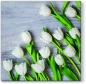 Serwetki Paw Lunch - mix nadruk 330 mm x 330 mm (SDL120109)