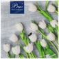 Serwetki Paw Lunch - mix nadruk 330 mm x 330 mm (SDL120109)