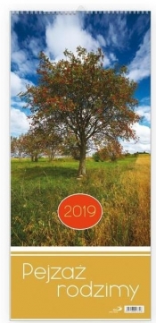 Kalendarz 2019 Pejzaż rodzimy
