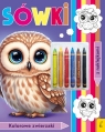 Kolorowanka z kredkami. Kolorowe zwierzaki. Sówki Opracowanie zbiorowe